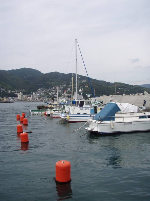 b0121015_1138595.jpg
