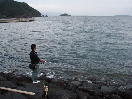 b0121015_1139578.jpg