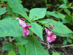 a0157619_22544041.jpg