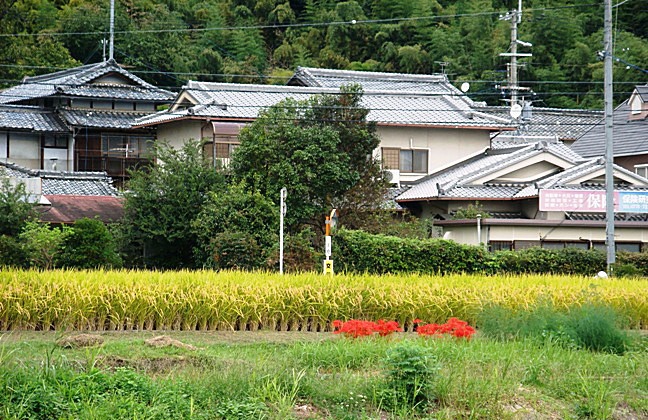 b0068423_1629275.jpg