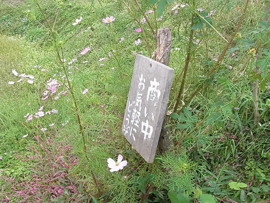 e0206828_64793.jpg