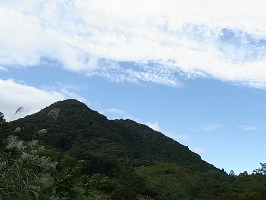 e0206828_70177.jpg