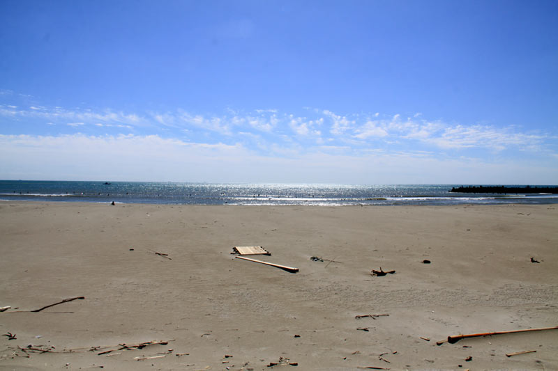 a0151129_12551426.jpg