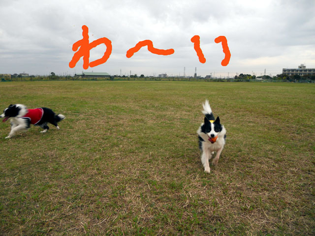 d0059230_8414457.jpg