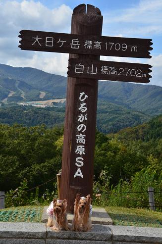 f0124830_2255999.jpg