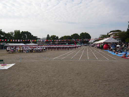 a0206332_8311599.jpg