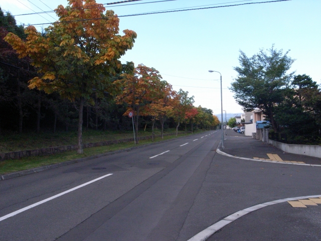 c0051132_21451794.jpg