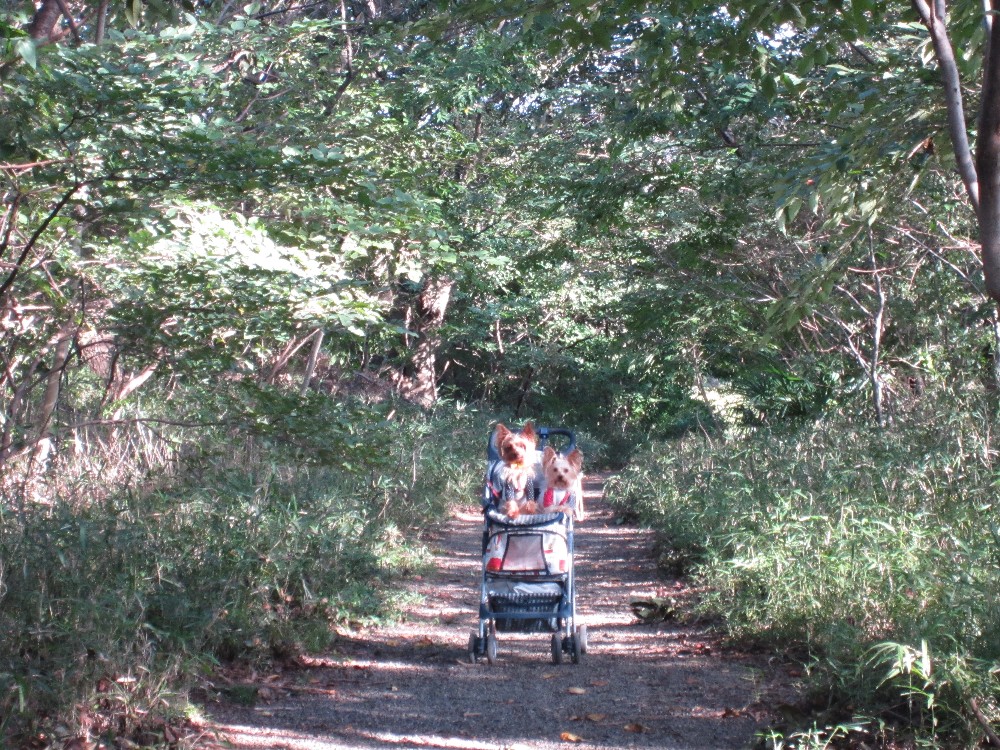 f0002833_21585696.jpg