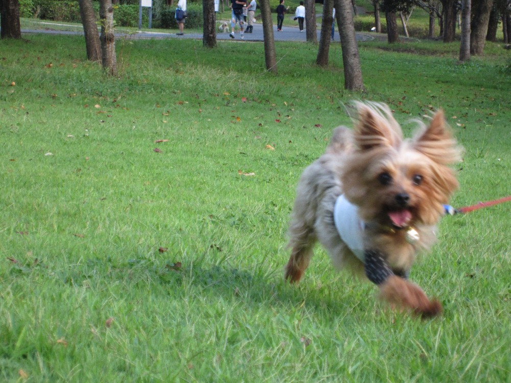 f0002833_2159161.jpg