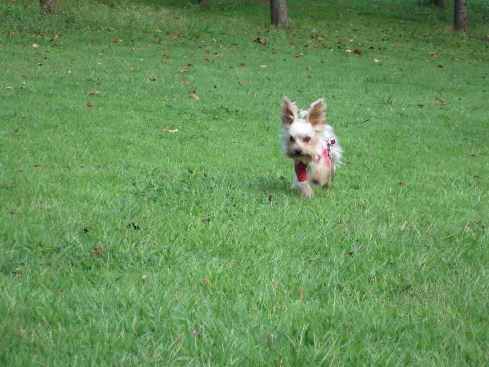 f0002833_21594685.jpg