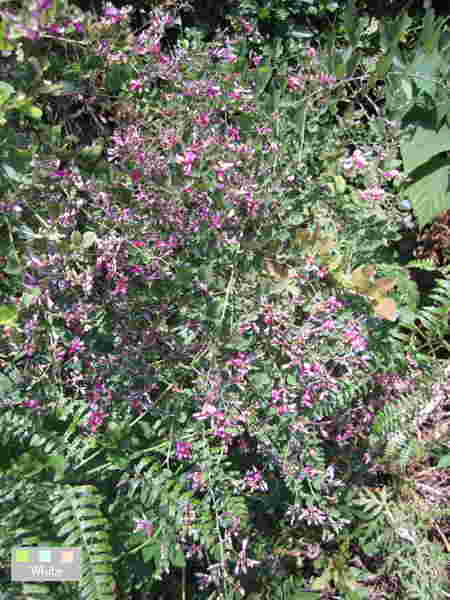 c0227134_2157757.jpg