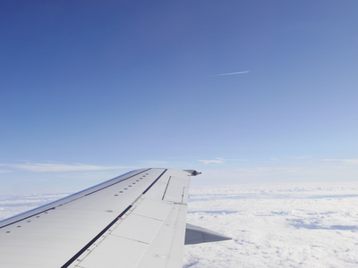 c0118536_1730427.jpg
