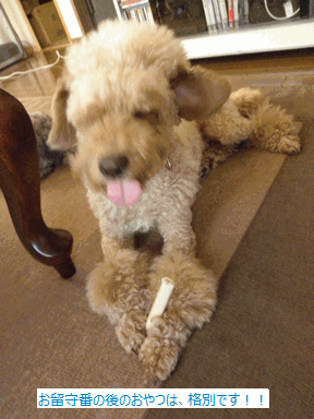 c0136736_12191978.gif