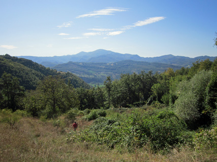 f0234936_23324426.jpg