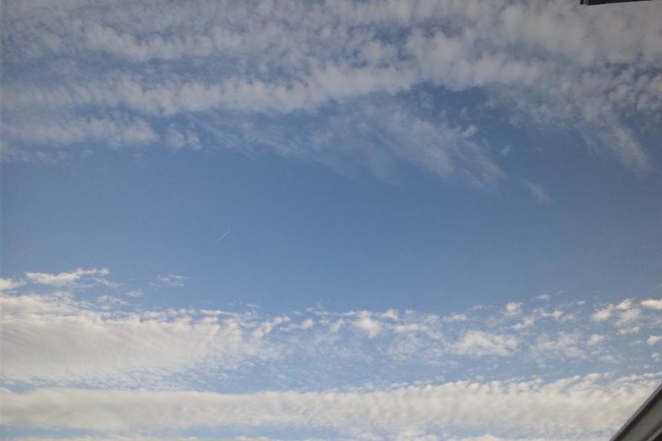 b0102639_21404516.jpg