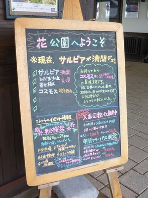 c0211540_1625176.jpg