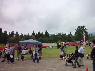 c0211540_164455.jpg