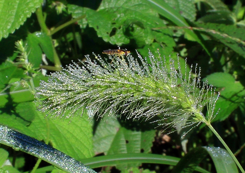 e0077041_14255013.jpg