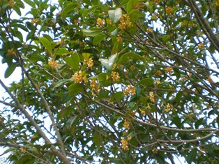 b0199742_19563011.jpg