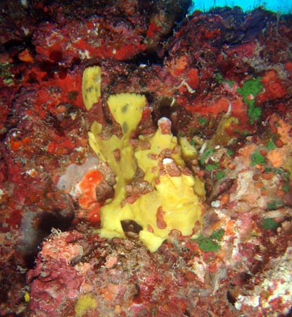 f0014842_1820483.jpg