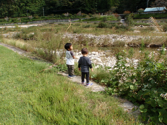 e0018843_1272529.jpg