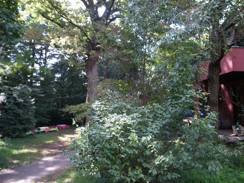 d0134147_142419.jpg