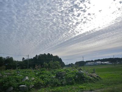 f0000148_1355319.jpg