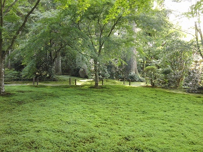 d0138650_22273618.jpg