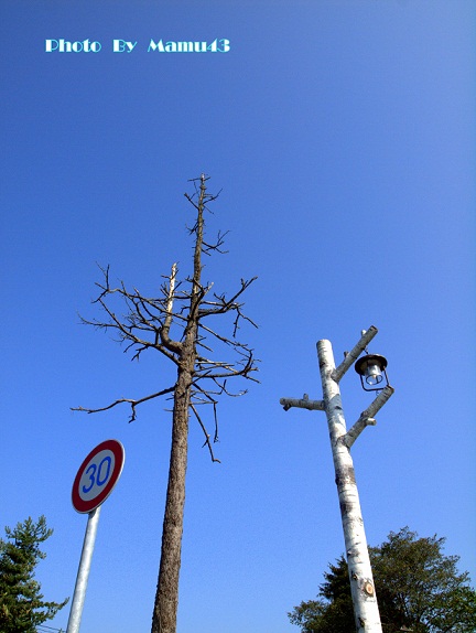 e0200350_2304288.jpg