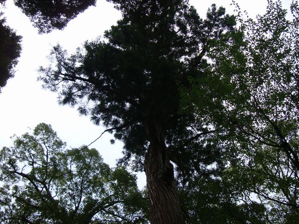 e0083155_20344234.jpg