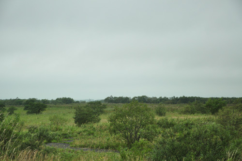 e0122156_23353652.jpg