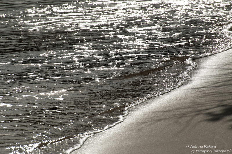 d0080957_2046770.jpg