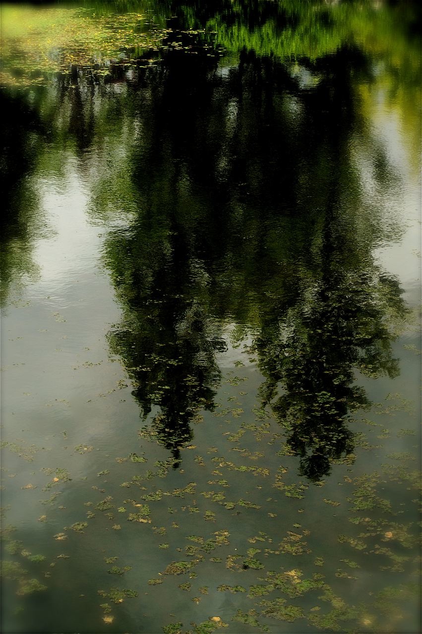 b0168859_15554893.jpg