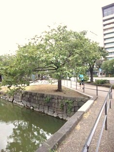 b0145861_15213180.jpg