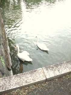 b0145861_1528299.jpg