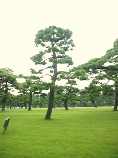 b0145861_15323094.jpg