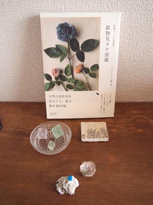 c0011862_1238389.jpg