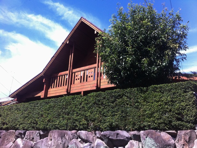 c0123363_12314742.jpg