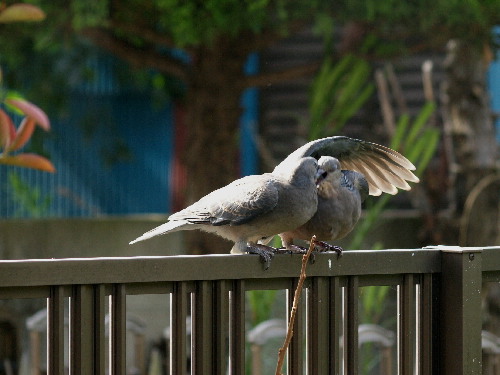 f0208666_20222780.jpg