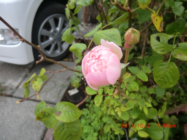 c0078586_1101735.jpg