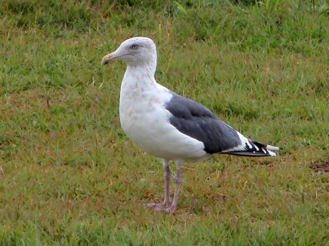 a0007388_14274018.jpg