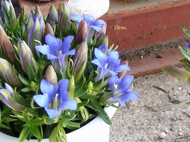 c0165589_14571965.jpg