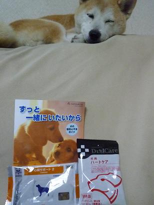 c0123890_2138651.jpg