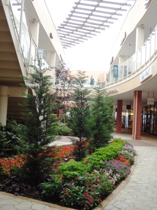 e0137390_20541895.jpg