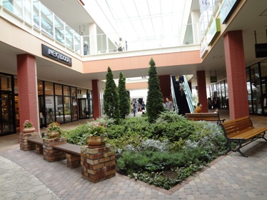 e0137390_20551543.jpg