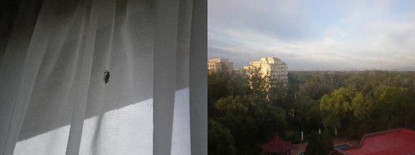 b0192991_0312028.jpg