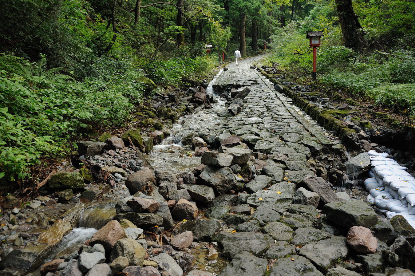 c0138991_7211243.jpg