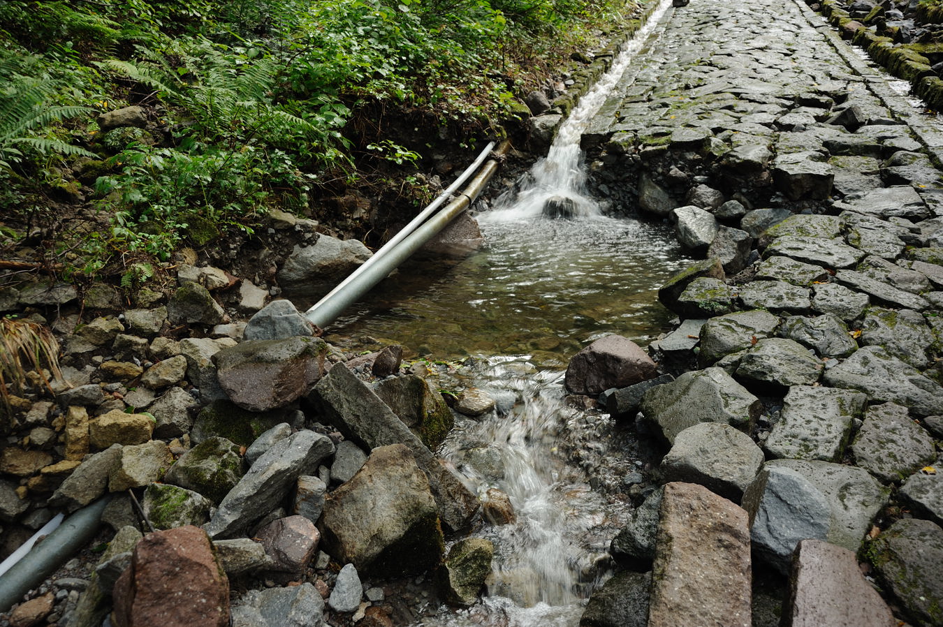 c0138991_7214674.jpg