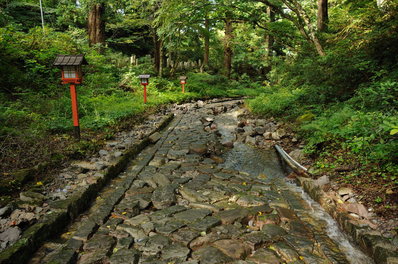 c0138991_7223270.jpg