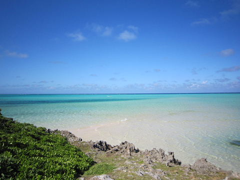 b0104592_20111546.jpg